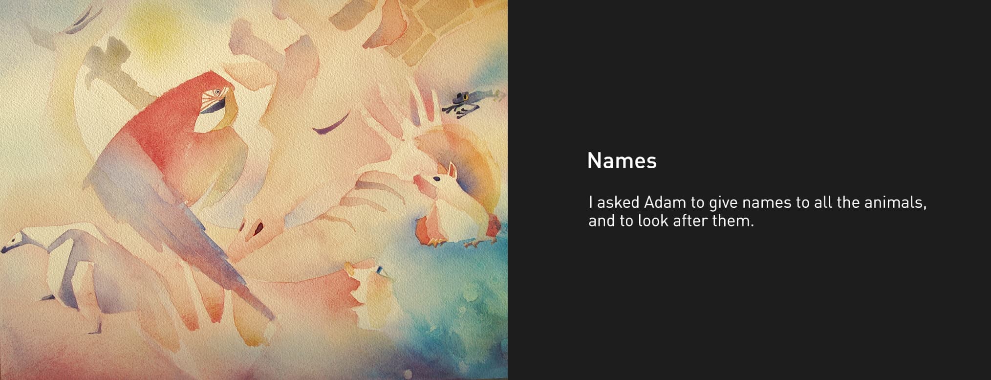 creation_image_+_text_s10.jpg